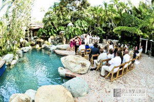 Michelle & Allan’s Spectacular Paradise Wedding…